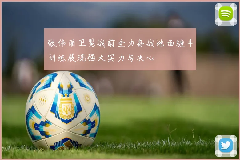 张伟丽卫冕战前全力备战地面缠斗训练展现强大实力与决心