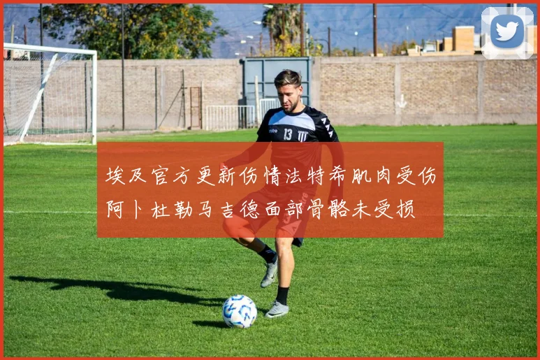 埃及官方更新伤情法特希肌肉受伤阿卜杜勒马吉德面部骨骼未受损